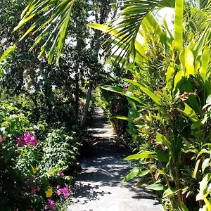  Hébergement de vacances Papaye Guadeloupe